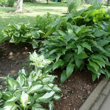 公寓 Szabadido Vendeghaz