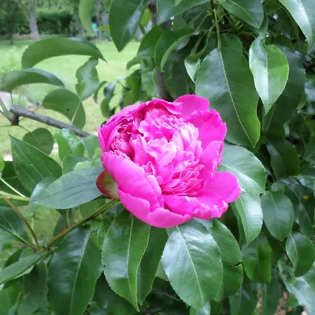 Szabadido Vendeghaz Révfülöp