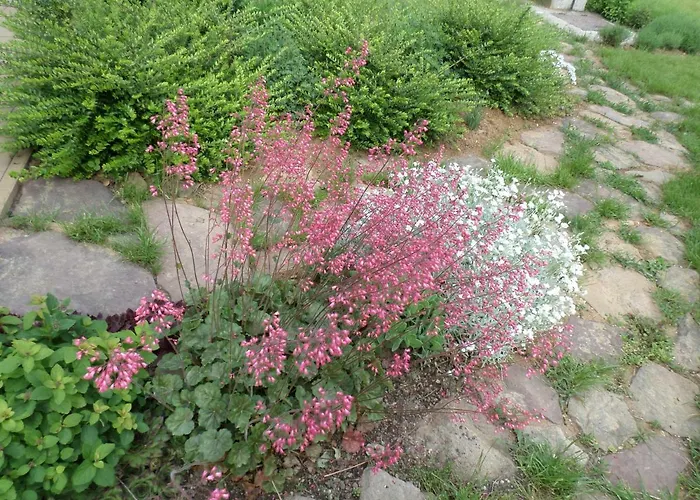 Szabadido Vendeghaz Apartmán Révfülöp