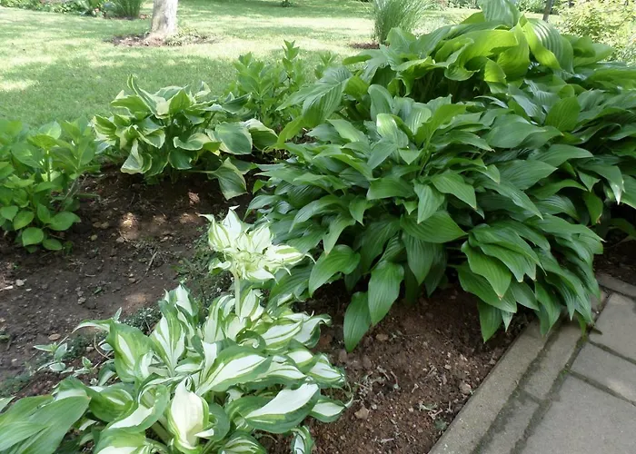 Apartmán Szabadido Vendeghaz