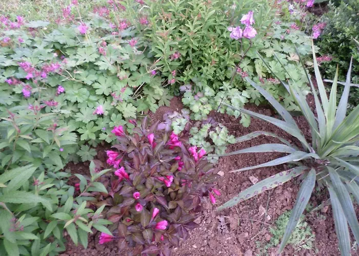 Apartmán Szabadido Vendeghaz Révfülöp