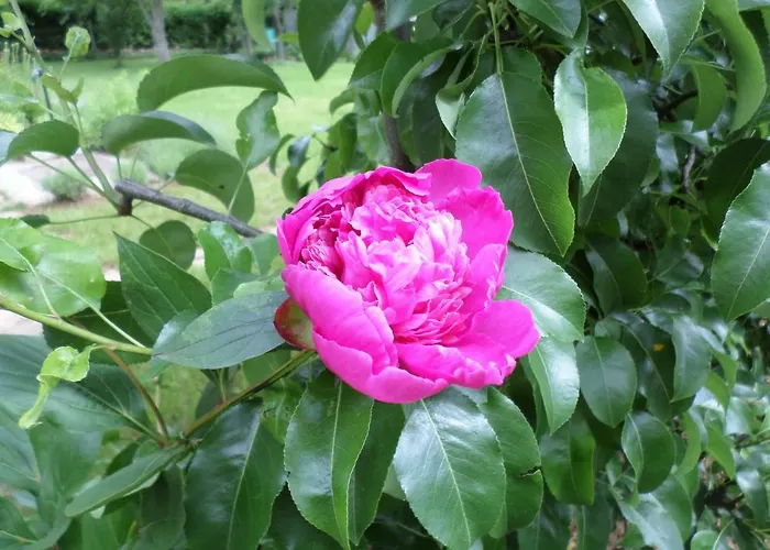 Szabadidő Révfülöp